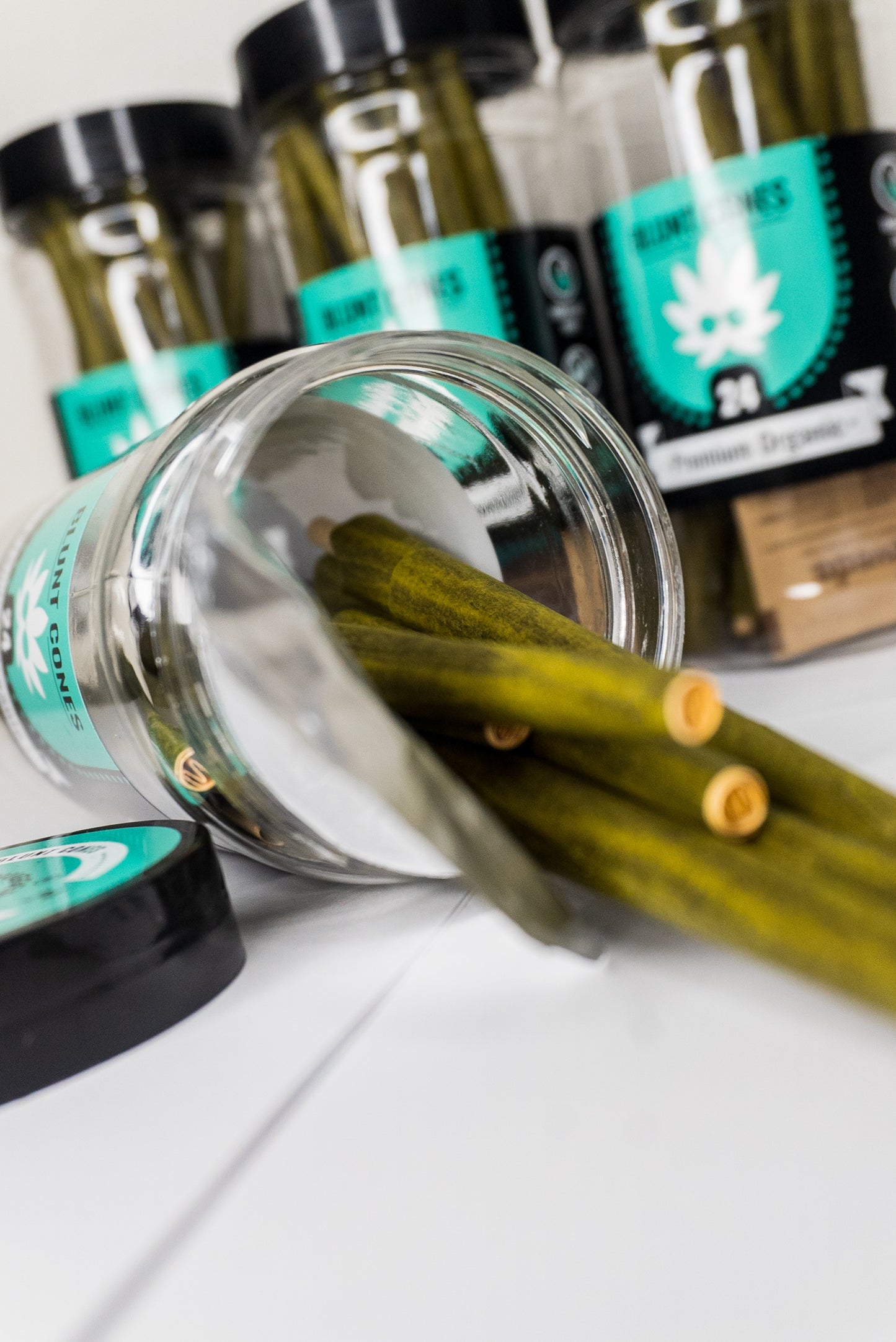 Hemp Blunts (24 count)